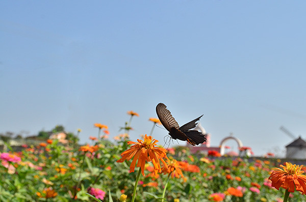 ��2014�＾�����컨�Ⱦ�ѡͼ����