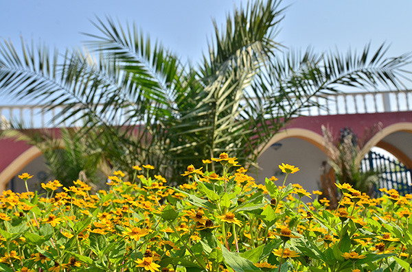 ��2014�＾�����컨�Ⱦ�ѡͼ����