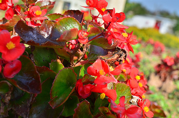 ��2014�＾�����컨�Ⱦ�ѡͼ����