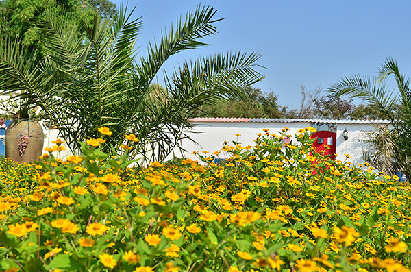 ��2014�＾�����컨�Ⱦ�ѡͼ����