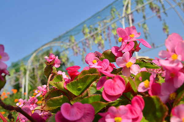 ��2014�＾�����컨�Ⱦ�ѡͼ����