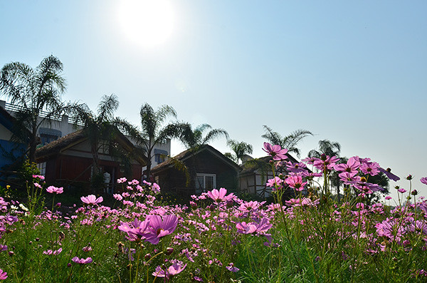 ��2014�����컨���＾��ѡͼ����