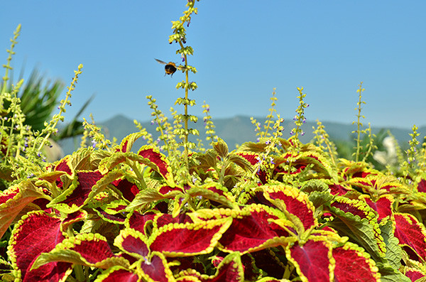 ��2014�＾�����컨�Ⱦ�ѡͼ��2��