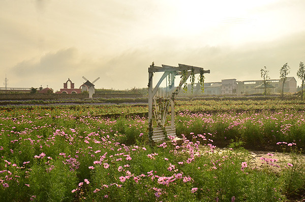 ��2014�＾�����컨�Ⱦ�ѡͼ��2��