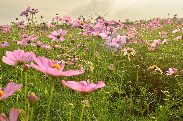 ��2014�＾�����컨�Ⱦ�ѡͼ��2��