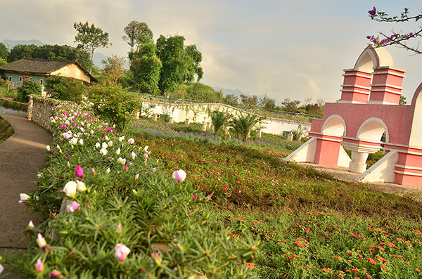 ��2014�＾�����컨�Ⱦ�ѡͼ��2��