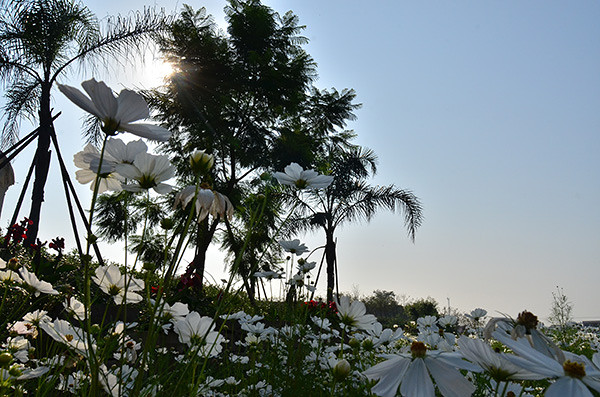 ��2014�＾�����컨�Ⱦ�ѡͼ��2��