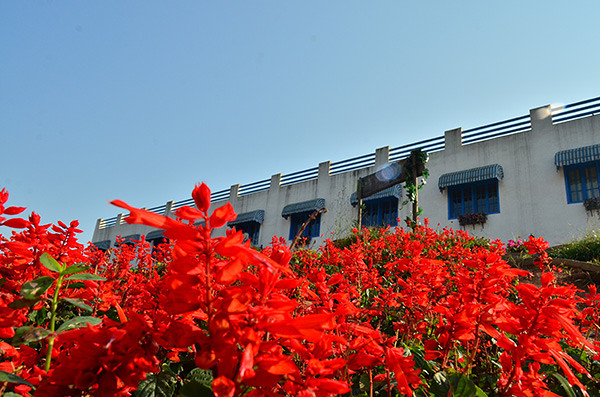 ��2014�＾�����컨�Ⱦ�ѡͼ��2��