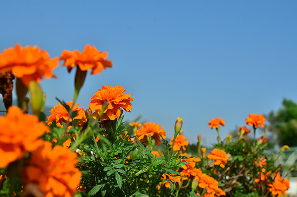 ��2014�＾�����컨�Ⱦ�ѡͼ��2��