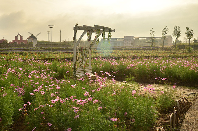 ��2014�＾�����컨�Ⱦ�ѡͼ��2��