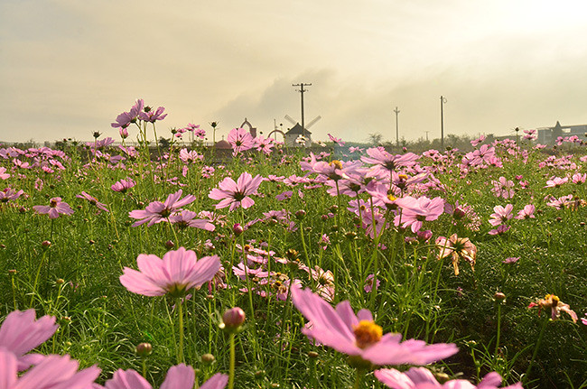 ��2014�＾�����컨�Ⱦ�ѡͼ��2��