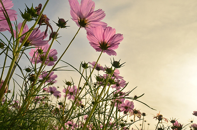 ��2014�＾�����컨�Ⱦ�ѡͼ��2��