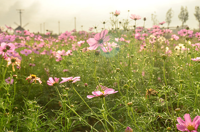 ��2014�＾�����컨�Ⱦ�ѡͼ��2��