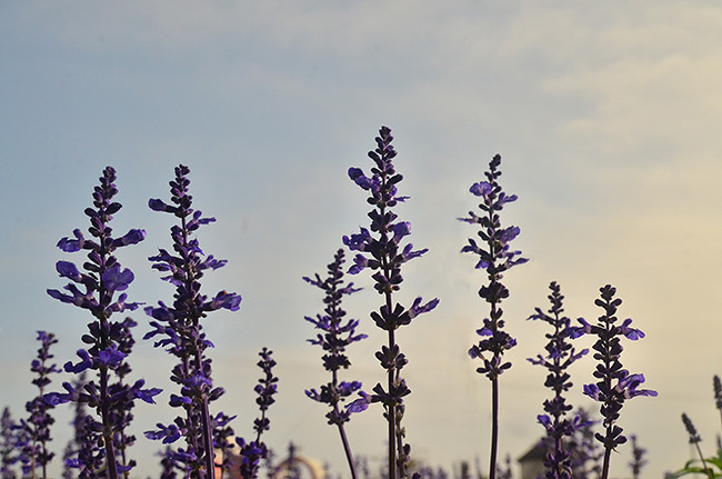 ��2014�＾�����컨�Ⱦ�ѡͼ��2��