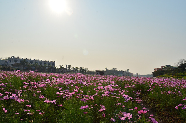 ��2014�＾�����컨�Ⱦ�ѡͼ��2��