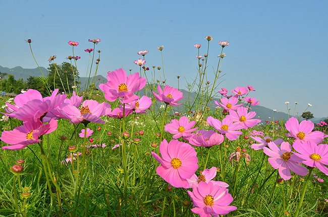 ��2014�＾�����컨�Ⱦ�ѡͼ��2��