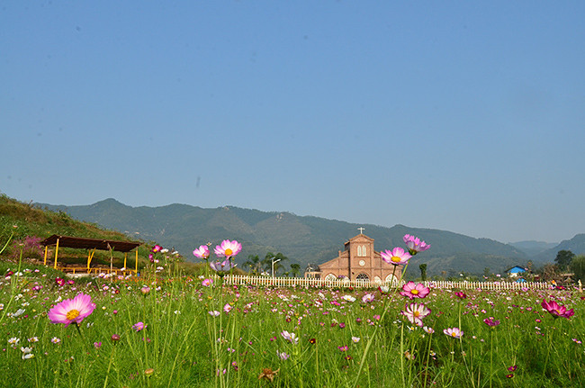 ��2014�＾�����컨�Ⱦ�ѡͼ��2��