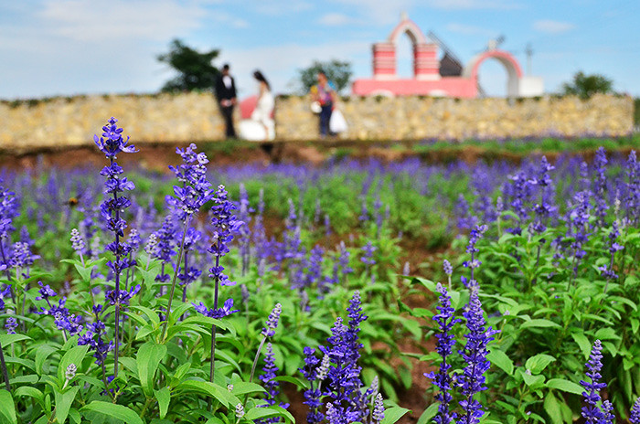 ��2014�����컨���＾��ѡͼ����