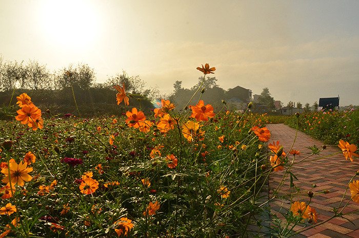 ��2014�＾�����컨�Ⱦ�ѡͼ��2��