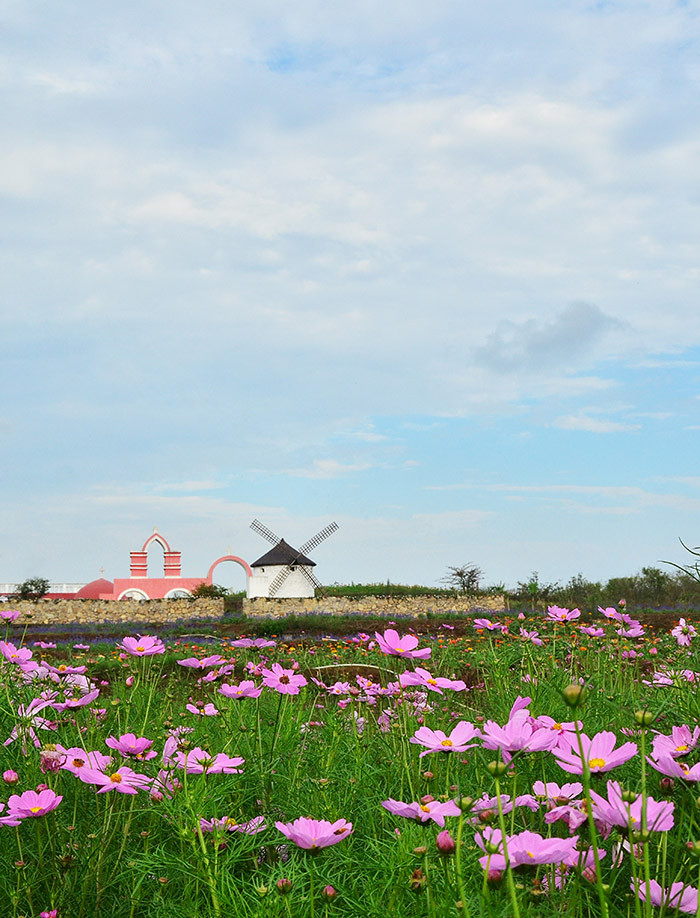 ��2014�����컨���＾��ѡͼ����