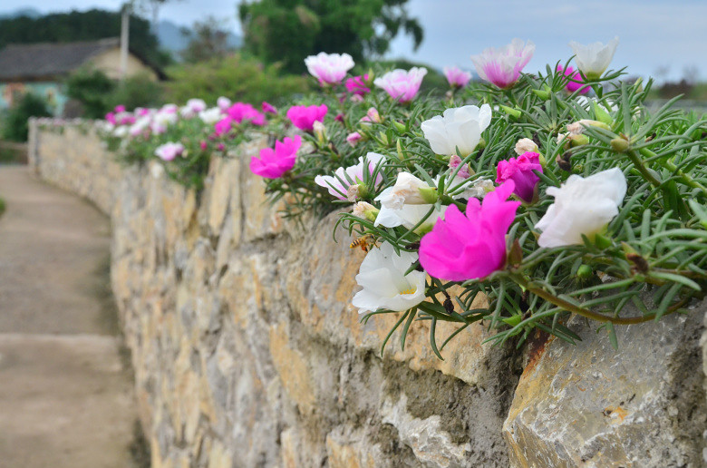 ��2014�����컨���＾��ѡͼ����