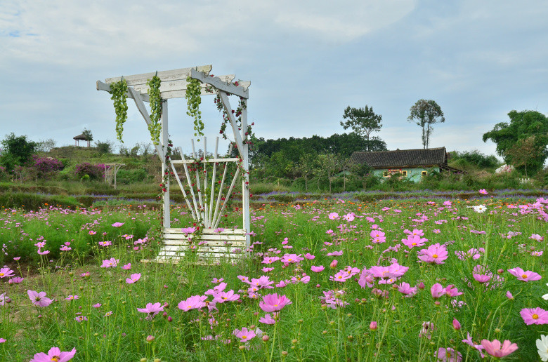 ��2014�����컨���＾��ѡͼ����