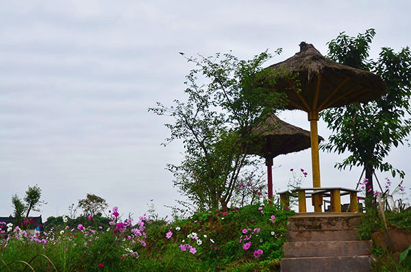 ��2014�＾�����컨�Ⱦ�ѡͼ��3��