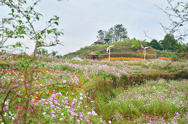 ��2014�＾�����컨�Ⱦ�ѡͼ��3��