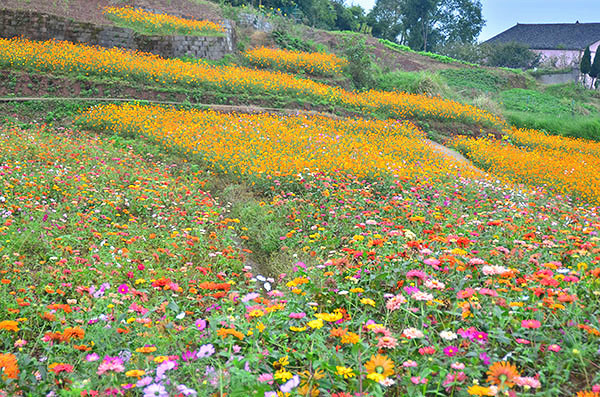 ��2014�＾�����컨�Ⱦ�ѡͼ��3��