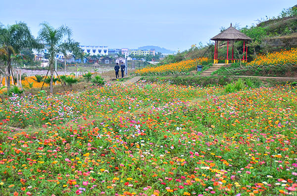 ��2014�＾�����컨�Ⱦ�ѡͼ��3��