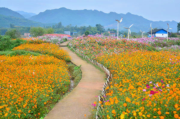 ��2014�＾�����컨�Ⱦ�ѡͼ��3��