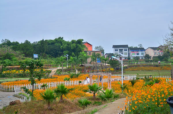 ��2014�＾�����컨�Ⱦ�ѡͼ��3��