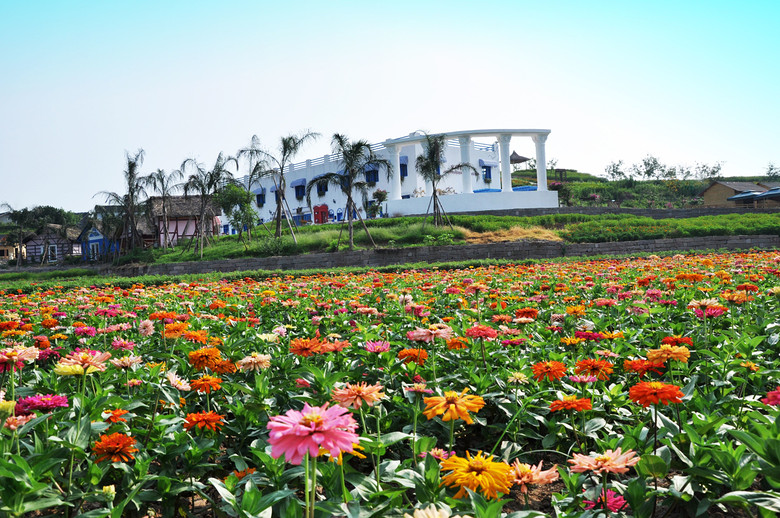 2014�����컨���＾��ͼ����