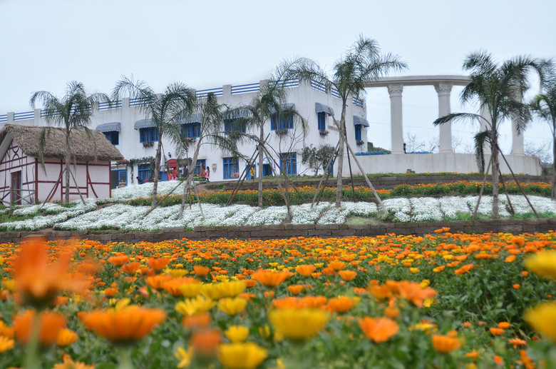 2014�����컨���＾��ͼ����