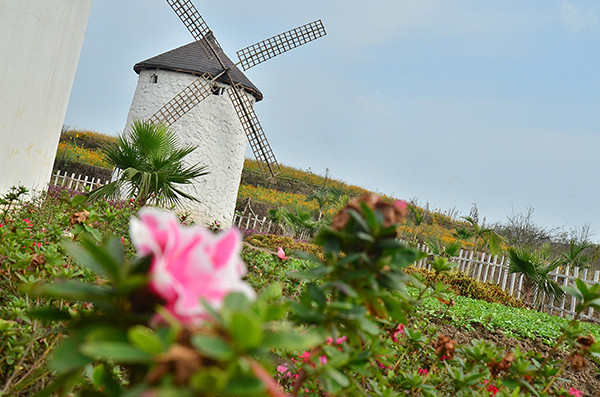 2014�����컨�ȶ�����ͼ����