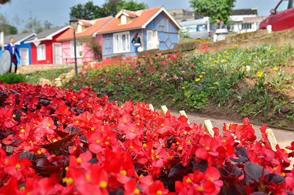 2014�����컨�ȶ�����ͼ����