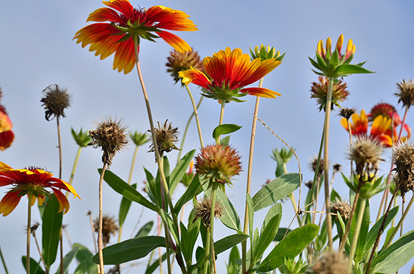 2014�����컨�ȶ�����ͼ����