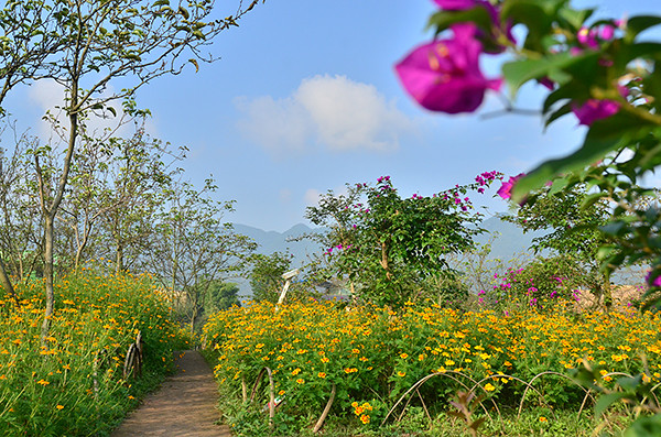 2014�����컨�ȶ�����ͼ����