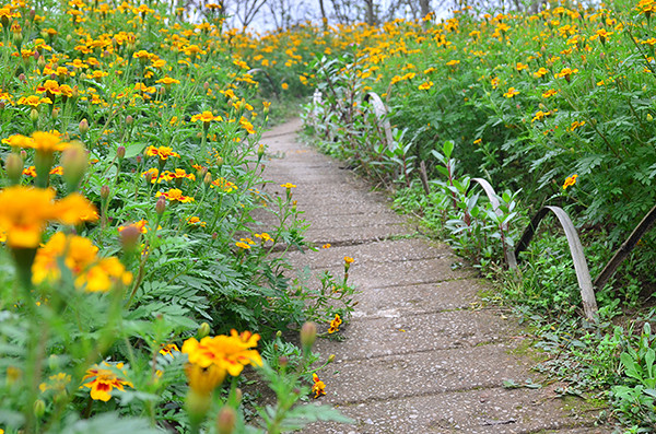 2014�����컨�ȶ�����ͼ����