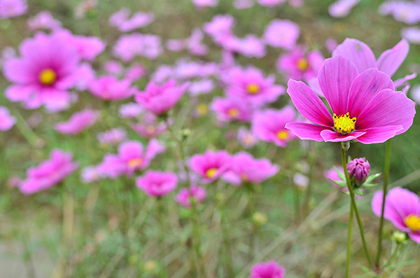 2014�����컨�ȶ�����ͼ����