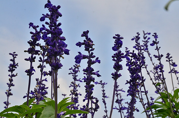 2014�����컨�ȶ�����ͼ����