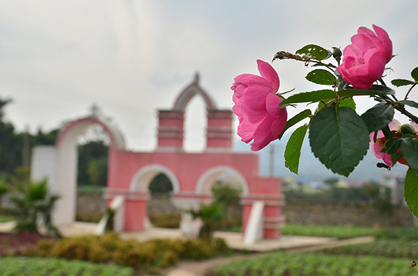 2014�����컨�ȶ�����ͼ����