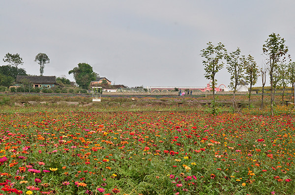 2014�����컨�ȶ�����ͼ����