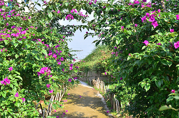 2014�����컨�ȶ�����ͼ����