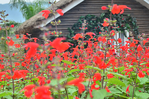 2014�����컨�ȶ�����ͼ����