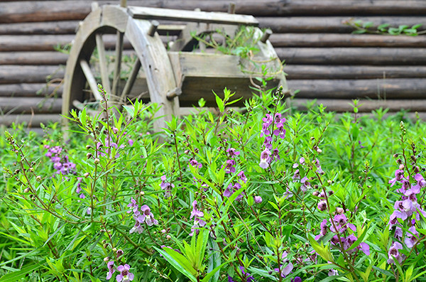 2014�����컨�ȶ�����ͼ����