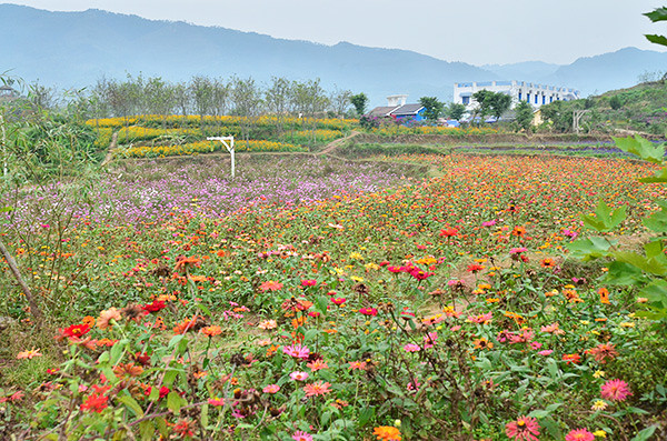 2014�����컨�ȶ�����ͼ����