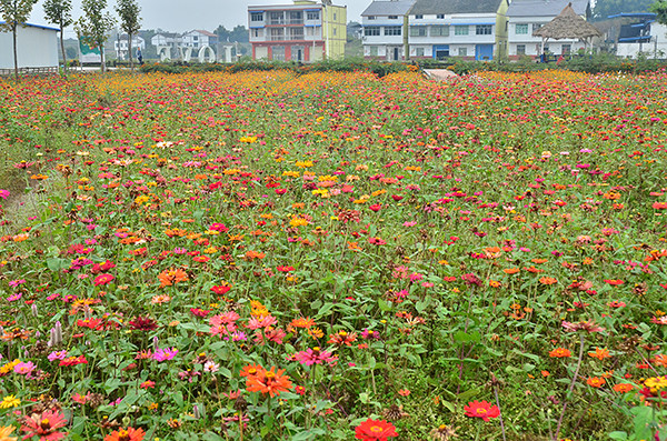 2014�����컨�ȶ�����ͼ����