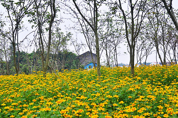 2014�����컨�ȶ�����ͼ����