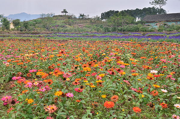 2014�����컨�ȶ�����ͼ����